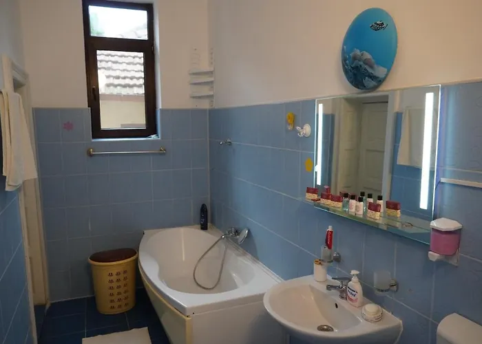 Casa Ferdinand Hébergement de vacances Constanţa