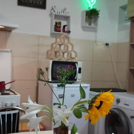 Будинок відпочинку Casa Ferdinand